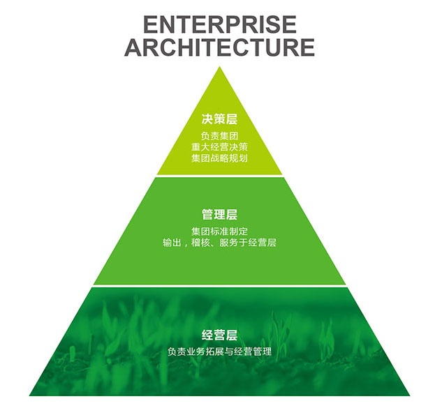 组织框架(图1)