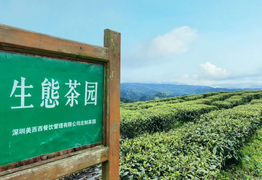 新茶饮行业新论：布局供应链不是突围行业内卷的手段(图6)